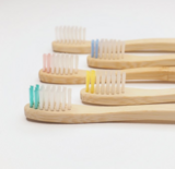 Tooth Brushes
