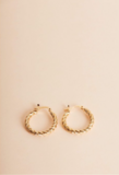 Hoop Earrings