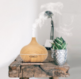 Mist Diffusers