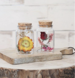 Droogbloemen in Buisjes