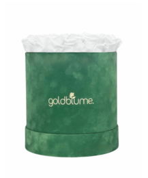Colección Terciopelo Verde