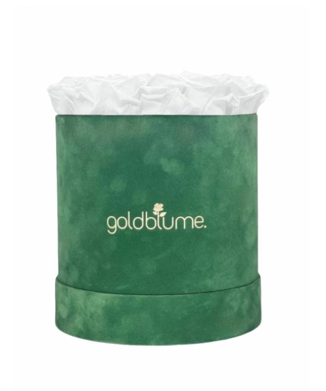 Colección Terciopelo Verde