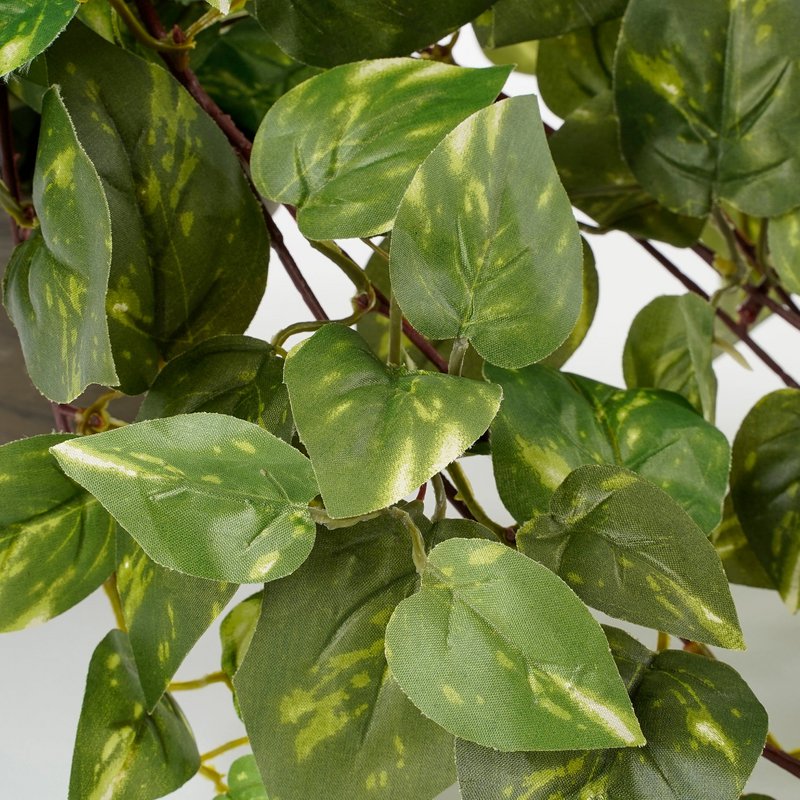 Kunst hangplant Scindapsus hanging Groen