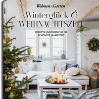 Winter happiness & Christmas time