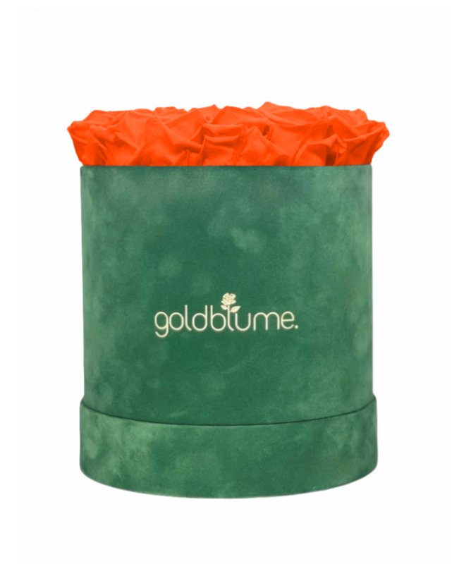 Colección Terciopelo Verde