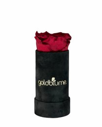 Velvet Black Collection