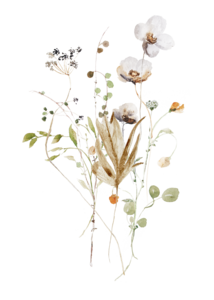 Sustainable card `wildflowers