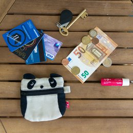 Tiny Wallet- Panda