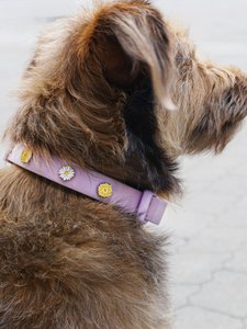 Blume Hundehalsband Anhänger