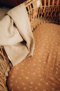 Tisu -Stuhlblatt, Karamell Daisy