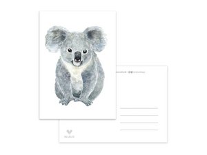Postcard koala