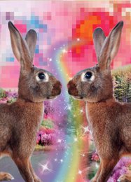  Two brown rabbits with large ears against a colorful abstract background with sparkles.