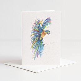 Colorful parrot illustration on a greeting card with envelope.