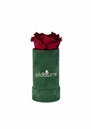 Colección Terciopelo Verde