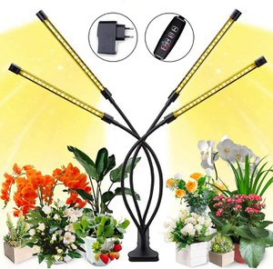 Growlampe warmweiß - zum Blühen - mit Tischclip - 50 x 8 cm