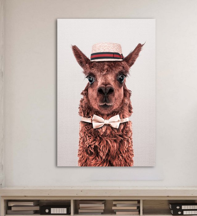 Classy Alpaca