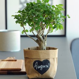 Paper bags in various colors including havana, grey, brown, and white. The bags feature a chalkboard-style label that can be customized.