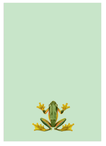 Notizblock A5 Frog