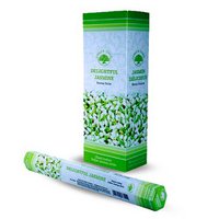 Green Tree Delightful Jasmine Incense