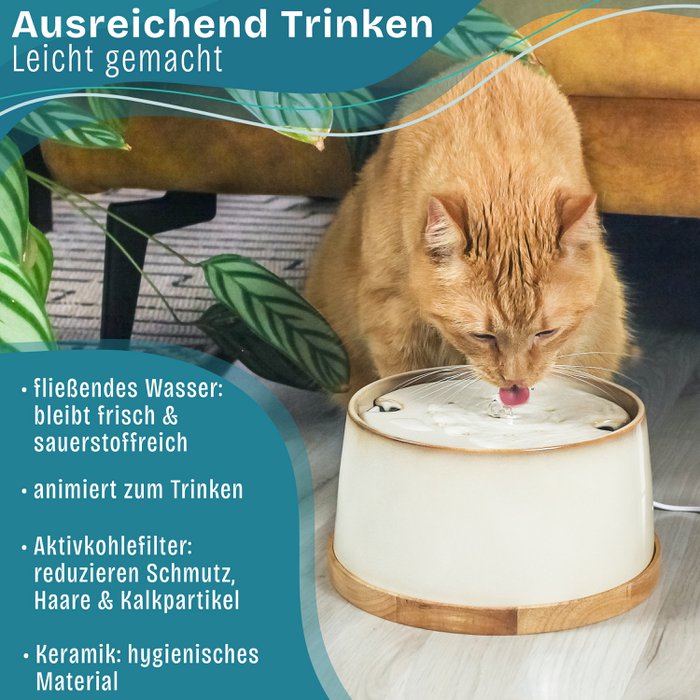 ne&no Keramik Trinkbrunnen fr Katzen I Bambus-Basis I Induktion  Online-Grohandel | Orderchamp