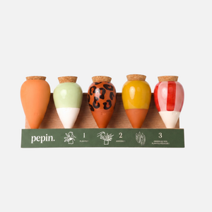 Olla Discovery Pack (aangeboden display)