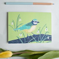 Postkarte | Meise