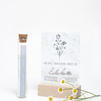 100 Glücksmomente – Ich werde dich nicht vergessen %23Vergissmeinnicht (Samen in Samenpapier)