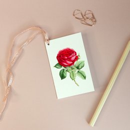Geschenkanhänger Mix x8 Pack - Botanical Vintage