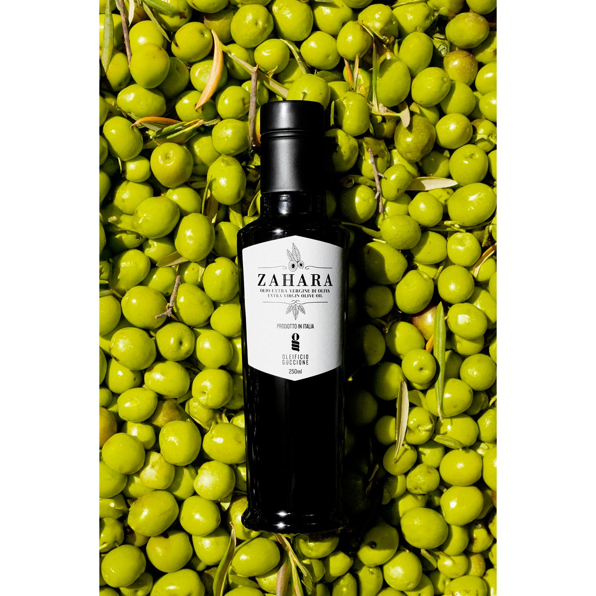 邦楽 OLIVE OIL - Big Silhouette Zahara 250ml - Premium Extra Virgin Olive Oil Online