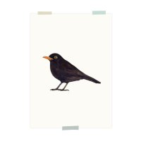 print | Blackbird
