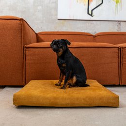 Madras "Soft" til en hund og en kat - genbrugt