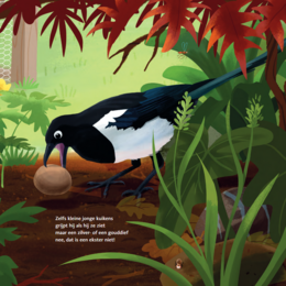 Marianne Busser & Ron Schröder - The thick bird book
