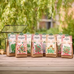  A set of 24 mini garden seed packets in 8 different varieties, featuring a variety of colorful floral and plant designs.
