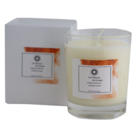 Kaars 130g Kaneel Sinaasappel