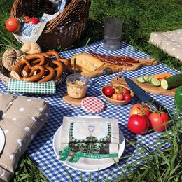 A blue and white checkered tablecloth with various picnic items such as a basket, bread, and apples on a grassy surface.
