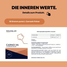 Carnosin Pulver