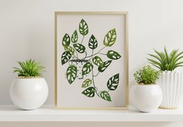 Monstera Obliqua kunsttryk