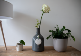 Bonne Famille Home Diffuser