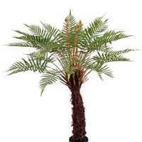 Artpflanze Dicksonia 127 cm