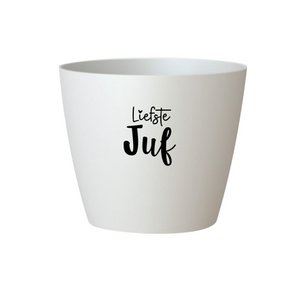 Blumentopf 'Liebster Lehrer' - weiß