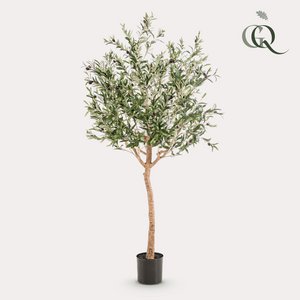 Kunst Olivenbaum - Olea Europaea - Olivenbaum - 180 cm