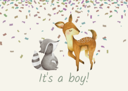 Greeting card featuring a deer and raccoon with confetti, celebrating the birth of a baby boy.