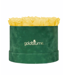 Colección Terciopelo Verde
