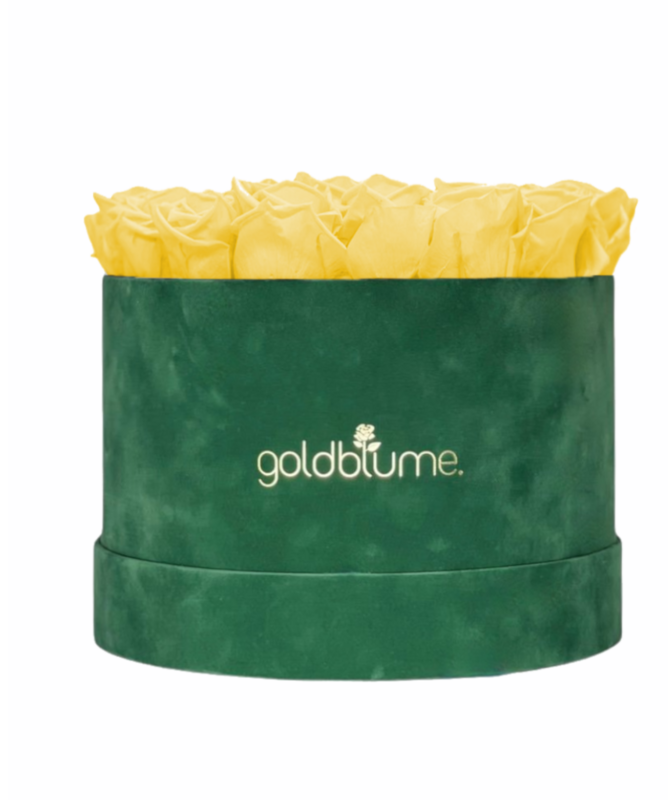 Colección Terciopelo Verde