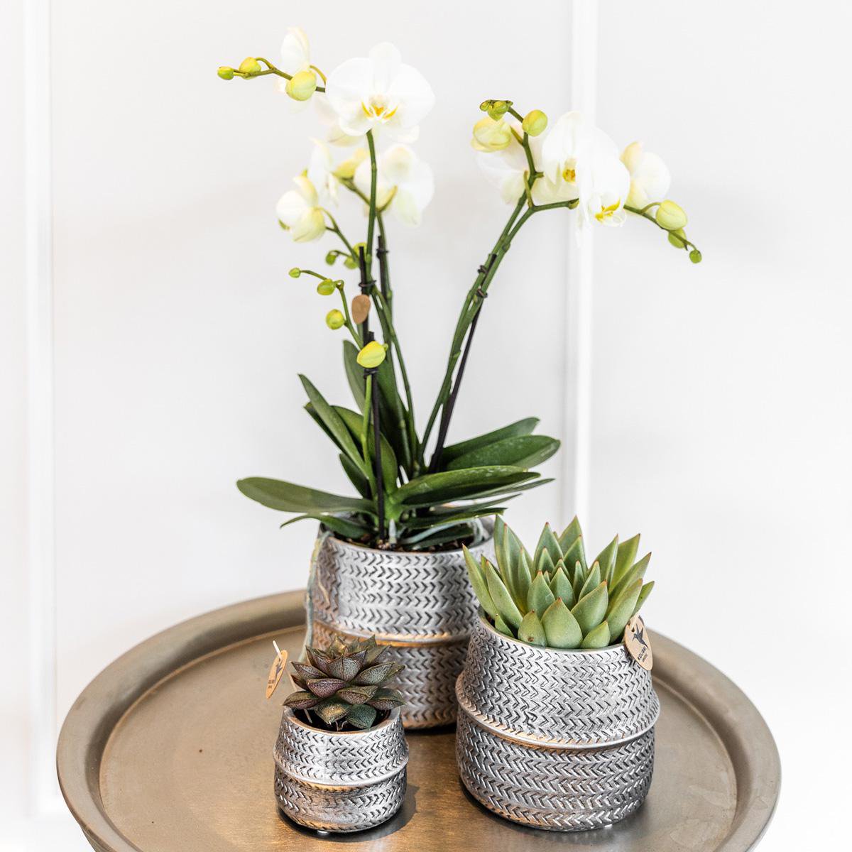 Zilveren Keramische Groove Pot Ø9cm voor Stijlvolle Interieurs