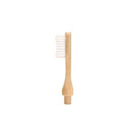 Set mit 2 austauschbaren Köpfen