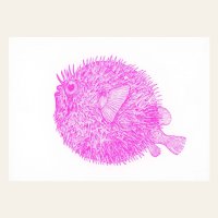 Risografie Postcard - Hedgehogfish - DIN A6