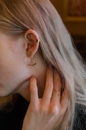 POLE HOOPS EARRINGS