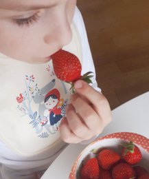 Natuurlijke slabbetje Red Riding Hood 100% biologisch katoen gecertificeerd OEKO-TEX