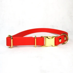 Plain Jane dog collar